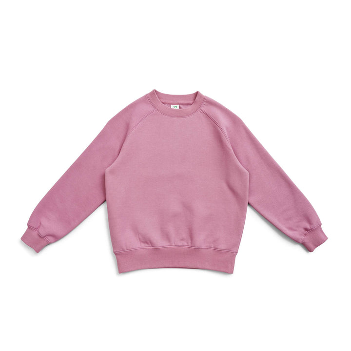 Adults' Cotton Care Sweatshirt - F367CW